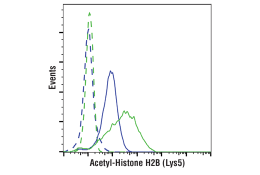 Flow Cytometry Image 1: Acetyl-Histone H2B (Lys5) (D5H1S) XP® Rabbit mAb (PE Conjugate)