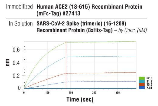  Image 3: SARS-CoV-2 Spike (trimeric) (16-1208) Recombinant Protein (8xHis-Tag)