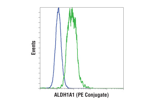 Flow Cytometry Image 1: ALDH1A1 (D9Q8E) XP® Rabbit mAb (PE Conjugate)