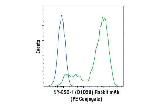 Flow Cytometry Image 1: NY-ESO-1 (D1Q2U) Rabbit mAb (PE Conjugate)