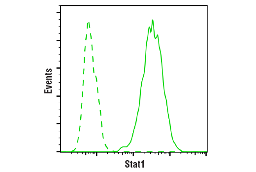 Flow Cytometry Image 1: Stat1 (D1K9Y) Rabbit mAb (BSA and Azide Free)