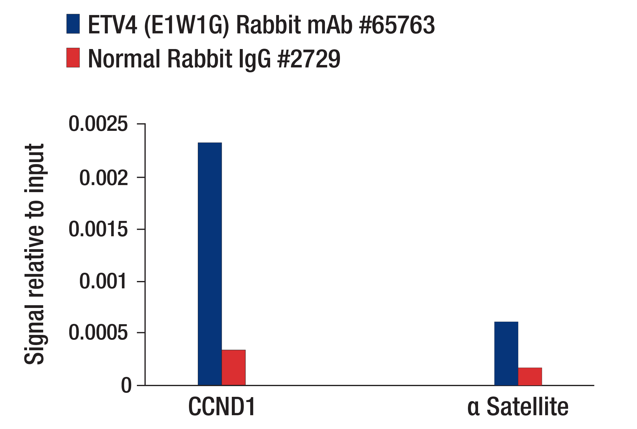 Chromatin Immunoprecipitation Image 1: ETV4 (E1W1G) Rabbit mAb