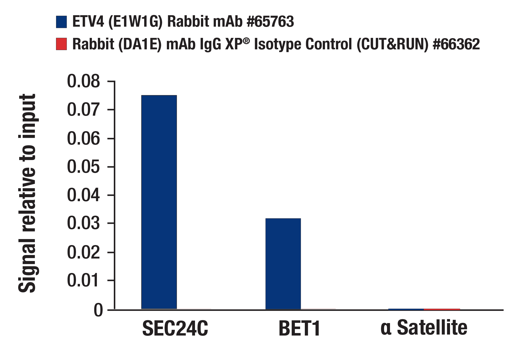 CUT and RUN Image 3: ETV4 (E1W1G) Rabbit mAb