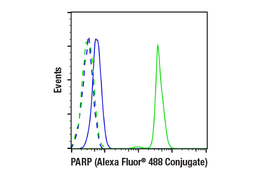 Flow Cytometry Image 1: PARP (46D11) Rabbit mAb (Alexa Fluor® 488 Conjugate)