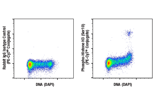 Flow Cytometry Image 1: Phospho-Histone H3 (Ser10) (D2C8) XP® Rabbit mAb (PE-Cy7® Conjugate)