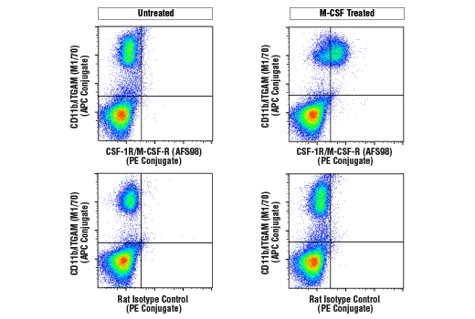 Flow Cytometry Image 1: CSF-1R/M-CSF-R (AFS98) Rat mAb (PE Conjugate)