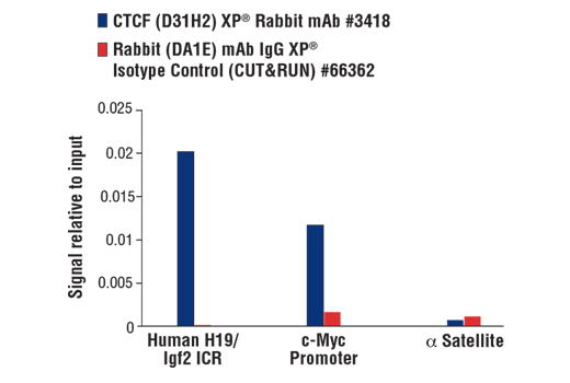 CUT and RUN Image 3: Rabbit (DA1E) mAb IgG XP® Isotype Control (CUTRUN)