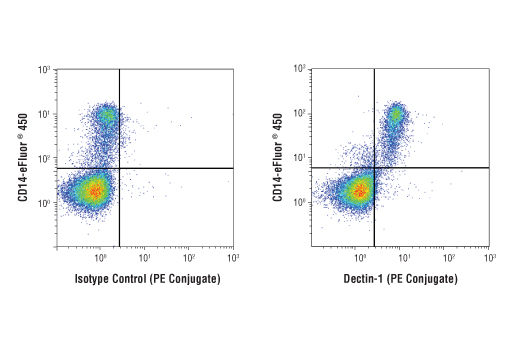 Flow Cytometry Image 1: Dectin-1 (E1X3Z) Rabbit mAb (PE Conjugate)