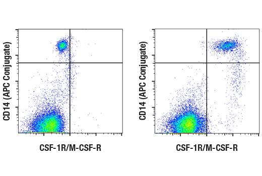 Flow Cytometry Image 1: CSF-1R/M-CSF-R (D3O9X) XP® Rabbit mAb
