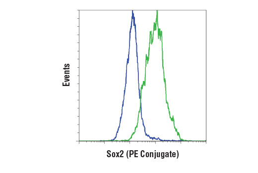 Flow Cytometry Image 1: Sox2 (D6D9) XP® Rabbit mAb (PE Conjugate)