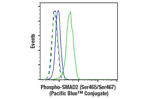 Flow Cytometry Image 1: Phospho-SMAD2 (Ser465/Ser467) (E8F3R) Rabbit mAb (Pacific Blue™ Conjugate)