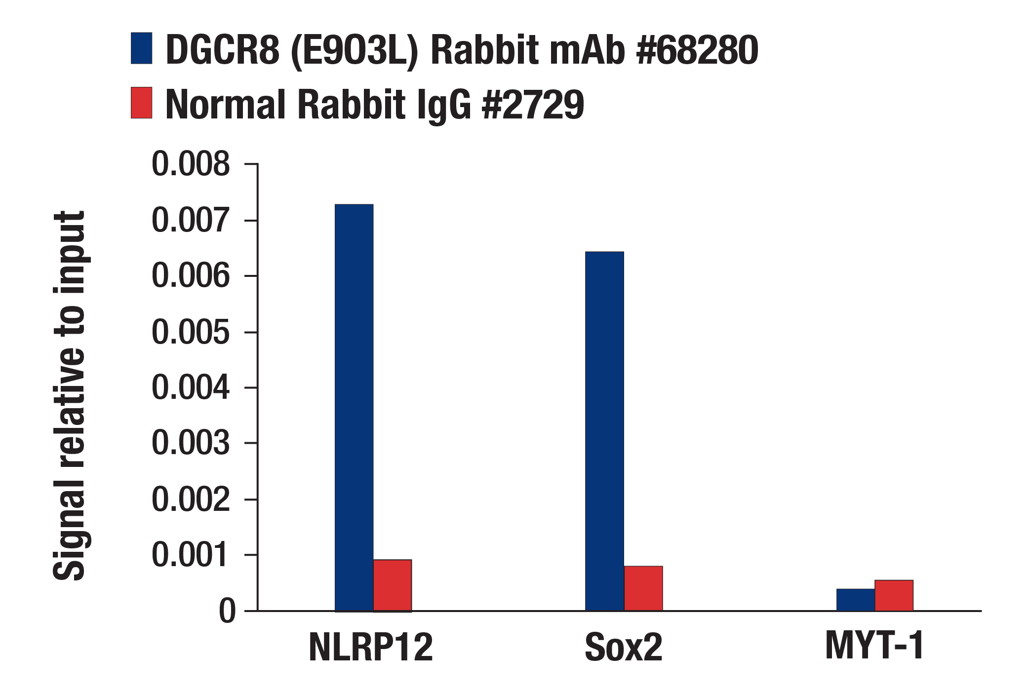 Chromatin Immunoprecipitation Image 1: DGCR8 (E9O3L) Rabbit mAb