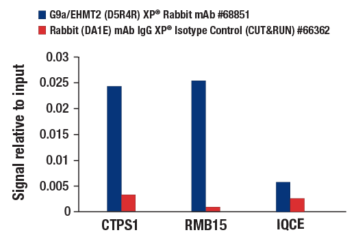CUT and RUN Image 3: G9a/EHMT2 (D5R4R) XP® Rabbit mAb