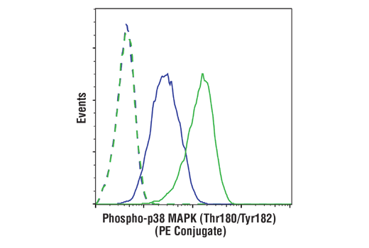 Flow Cytometry Image 1: Phospho-p38 MAPK (Thr180/Tyr182) (3D7) Rabbit mAb (PE Conjugate)