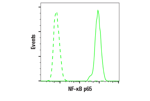  Image 5: NF-κB p65 Antibody Sampler Kit