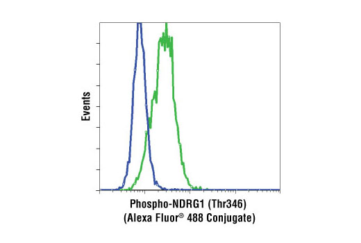 Flow Cytometry Image 1: Phospho-NDRG1 (Thr346) (D98G11) XP® Rabbit mAb (Alexa Fluor® 488 Conjugate)
