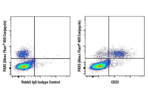 Flow Cytometry Image 1: CD23 (E5P8Z) Rabbit mAb