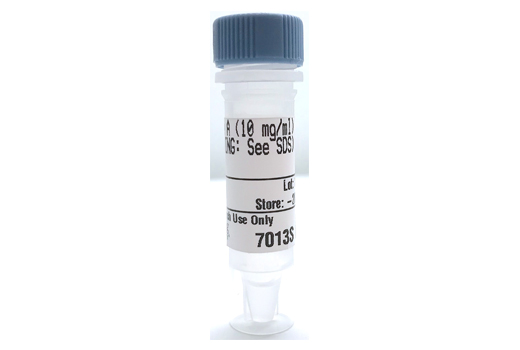  Image 1: RNAse A (10 mg/ml)