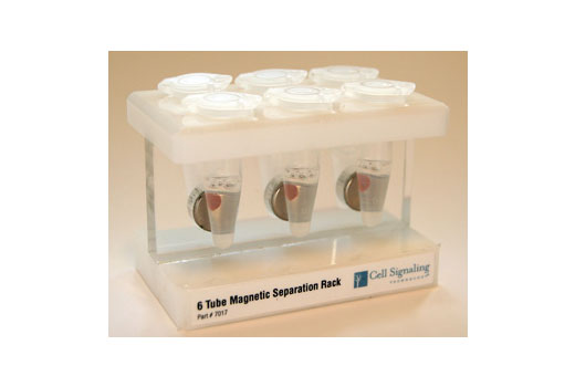 6-Tube Magnetic Separation Rack Cell Technology