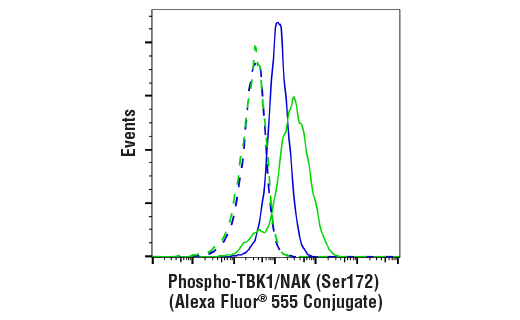 Flow Cytometry Image 1: Phospho-TBK1/NAK (Ser172) (D52C2) XP® Rabbit mAb (Alexa Fluor® 555 Conjugate)