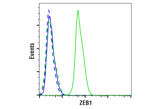 Flow Cytometry Image 1: ZEB1 (E2G6Y) XP® Rabbit mAb