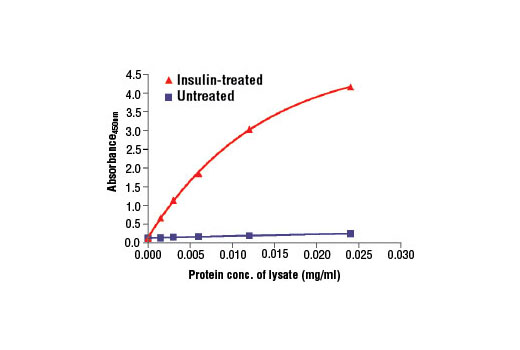  Image 2: PathScan® Phospho-Insulin Receptor β (panTyr) Sandwich ELISA Kit