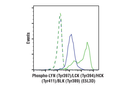 Flow Cytometry Image 1: Phospho-LYN (Tyr397)/LCK (Tyr394)/HCK (Tyr411)/BLK (Tyr389) (E5L3D) Rabbit mAb