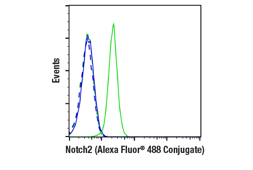 Flow Cytometry Image 1: Notch2 (D76A6) XP® Rabbit mAb (Alexa Fluor® 488 Conjugate)