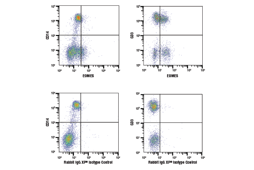 Flow Cytometry Image 1: EOMES (D8D1R) Rabbit mAb (BSA and Azide Free)