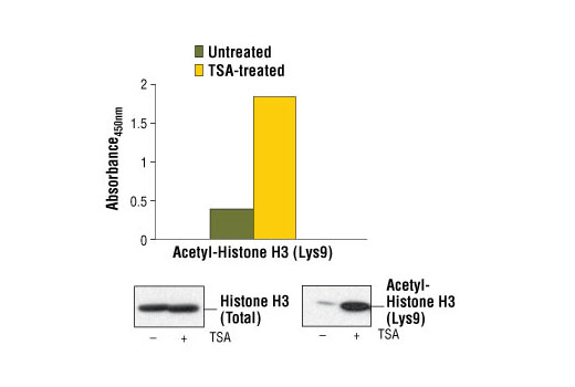  Image 2: PathScan® Acetyl-Histone H3 (Lys9) Sandwich ELISA Kit