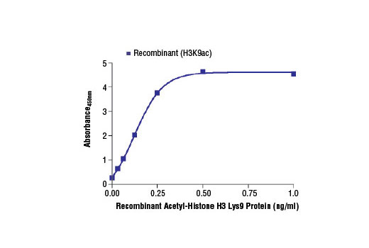 Image 1: PathScan® Acetyl-Histone H3 (Lys9) Sandwich ELISA Kit