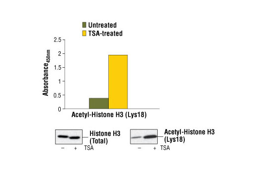 Image 1: PathScan® Acetyl-Histone H3 (Lys18) Sandwich ELISA Kit