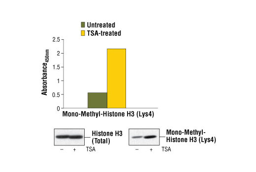  Image 2: PathScan® Mono-Methyl-Histone H3 (Lys4) Sandwich ELISA Kit