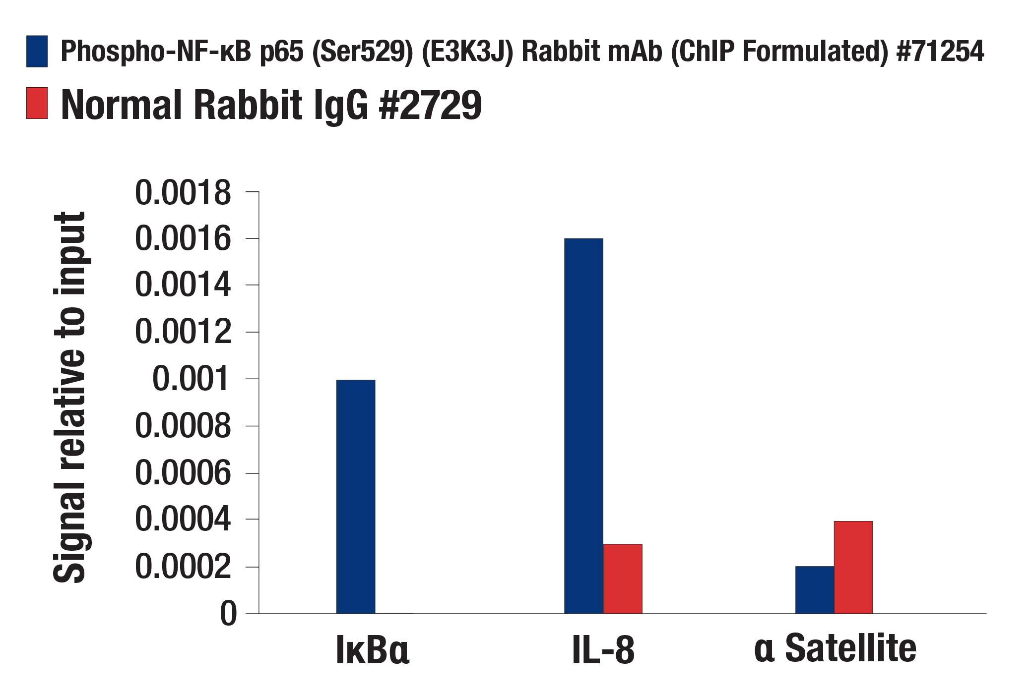 Chromatin Immunoprecipitation Image 1: Phospho-NF-κB p65 (Ser529) (E3K3J) Rabbit mAb (ChIP Formulated)