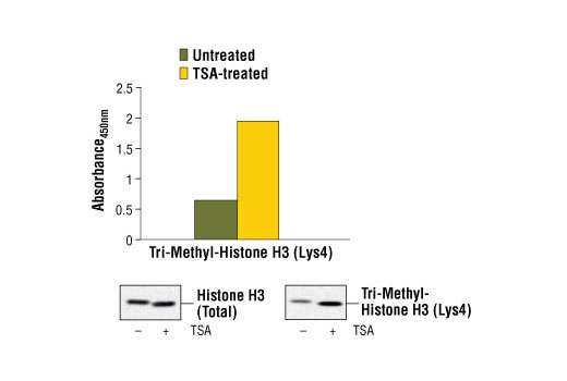  Image 1: PathScan® Tri-Methyl-Histone H3 (Lys4) Sandwich ELISA Kit
