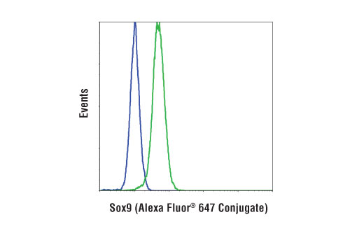 Flow Cytometry Image 1: Sox9 (D8G8H) Rabbit mAb (Alexa Fluor® 647 Conjugate)