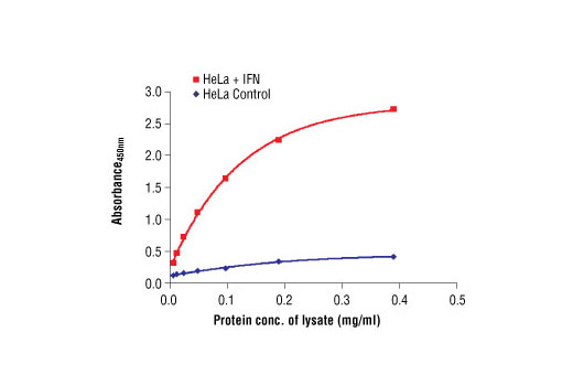  Image 1: PathScan® Phospho-Stat3 (Tyr705) Sandwich ELISA Antibody Pair