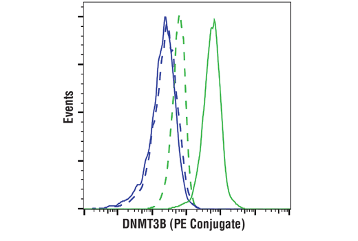 Flow Cytometry Image 1: DNMT3B (D7O7O) Rabbit mAb (PE Conjugate)