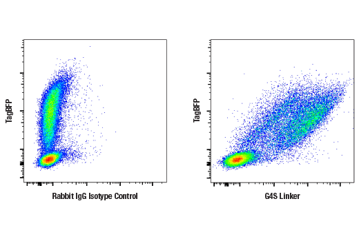 Flow Cytometry Image 1: G4S Linker (E7O2V) Rabbit mAb (BSA and Azide Free)