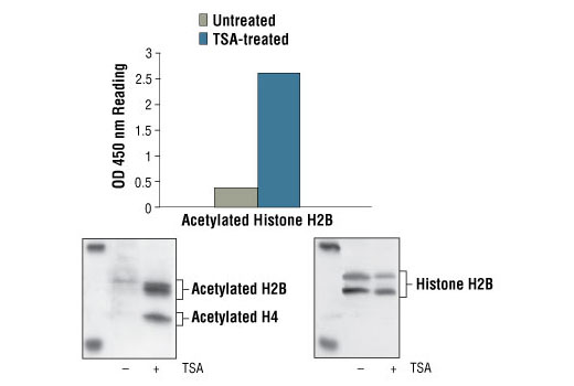  Image 1: PathScan® Acetyl-Histone H2B Sandwich ELISA Kit