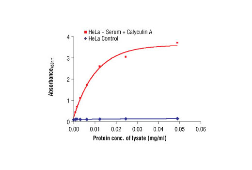  Image 1: PathScan® Phospho-Histone H3 (Ser10) Sandwich ELISA Antibody Pair