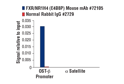 Chromatin Immunoprecipitation Image 1: FXR/NR1H4 (E4B8P) Mouse mAb