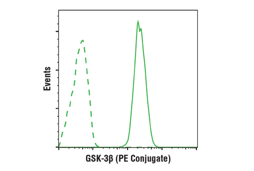 Flow Cytometry Image 1: GSK-3β (D5C5Z) XP® Rabbit mAb (PE Conjugate)