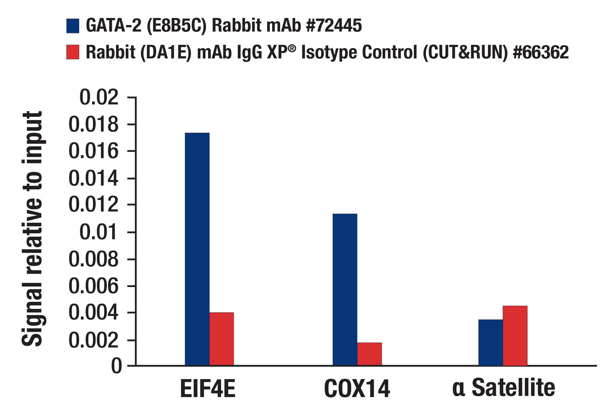 CUT and RUN Image 3: GATA-2 (E8B5C) Rabbit mAb