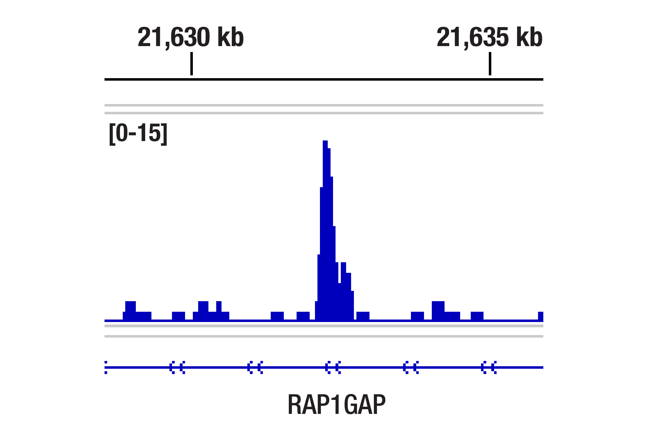 Chromatin Immunoprecipitation Image 1: GATA-2 (E8B5C) Rabbit mAb