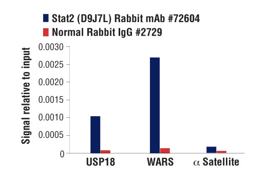 Chromatin Immunoprecipitation Image 3: Stat2 (D9J7L) Rabbit mAb