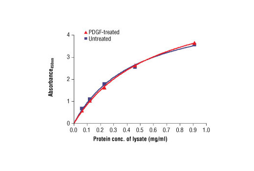  Image 1: PathScan® Total PDGF Receptor α Sandwich ELISA Antibody Pair