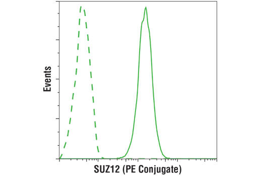 Flow Cytometry Image 1: SUZ12 (D39F6) XP® Rabbit mAb (PE Conjugate)