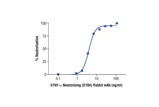  Image 2: Human TNF-α Neutralizing (D1B4) Rabbit mAb