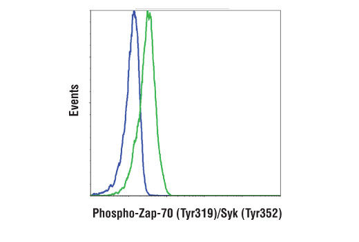 Flow Cytometry Image 1: Phospho-Zap-70 (Tyr319)/Syk (Tyr352) (65E4) Rabbit mAb (Alexa Fluor® 488 Conjugate)